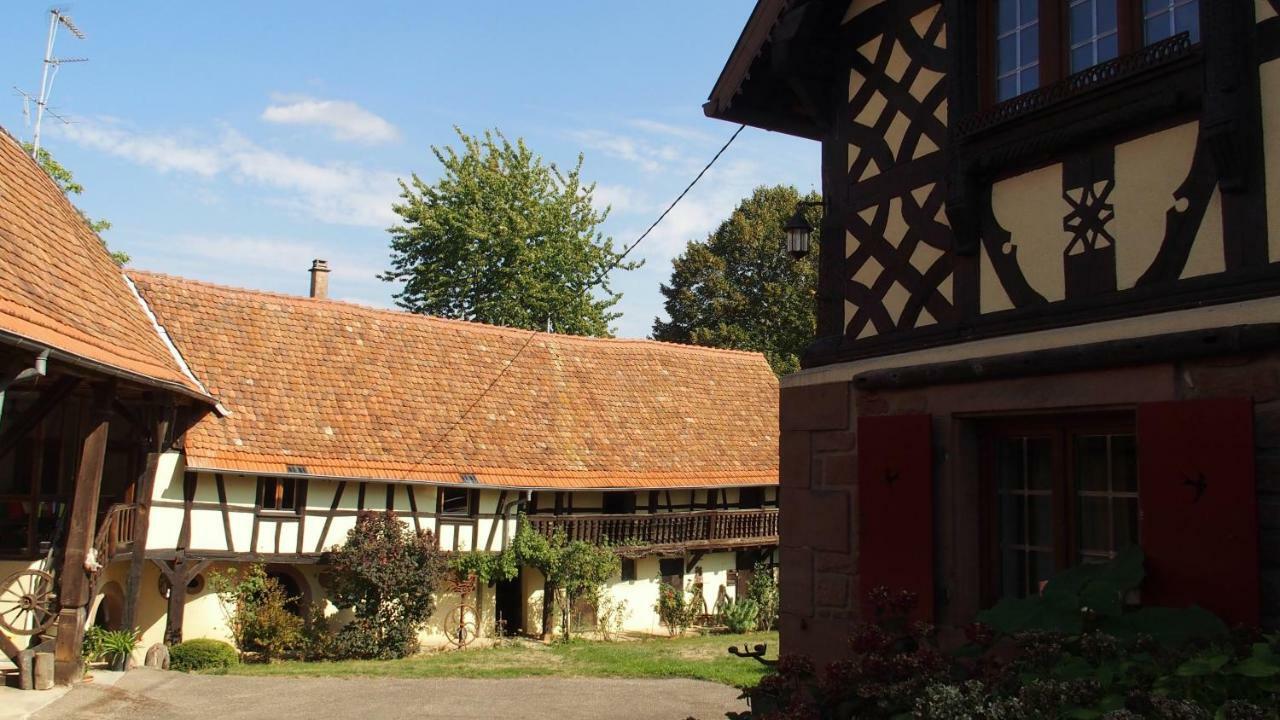 Le Gite Des Ecureuils Schalkendorf Екстериор снимка